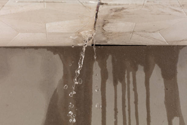 Professional Burst Pipe Cleanup technician working in Linn Creek, MO